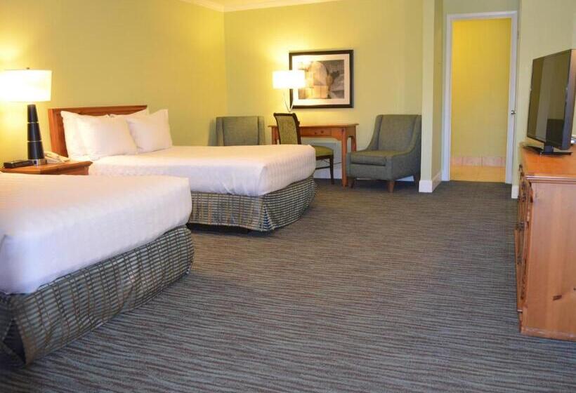 Quarto Deluxe, The University Inn At Emory
