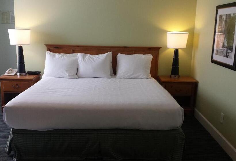 Quarto Deluxe Cama King, The University Inn At Emory