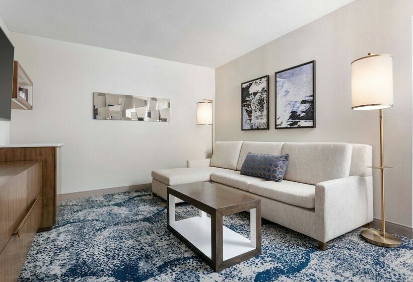Люкс с Видом, Delta Hotels By Marriott Virginia Beach Waterfront