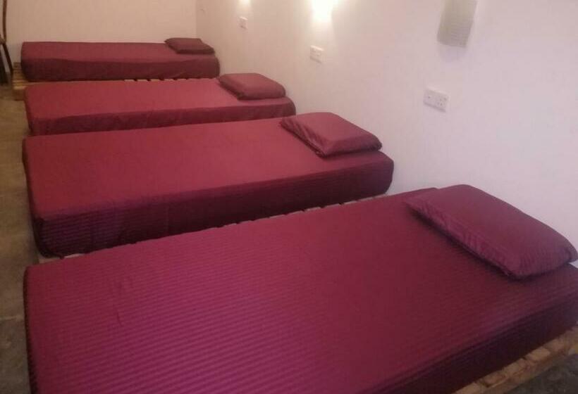 Кровать в Общей Комнате, Tiki Bar Hostel Ella