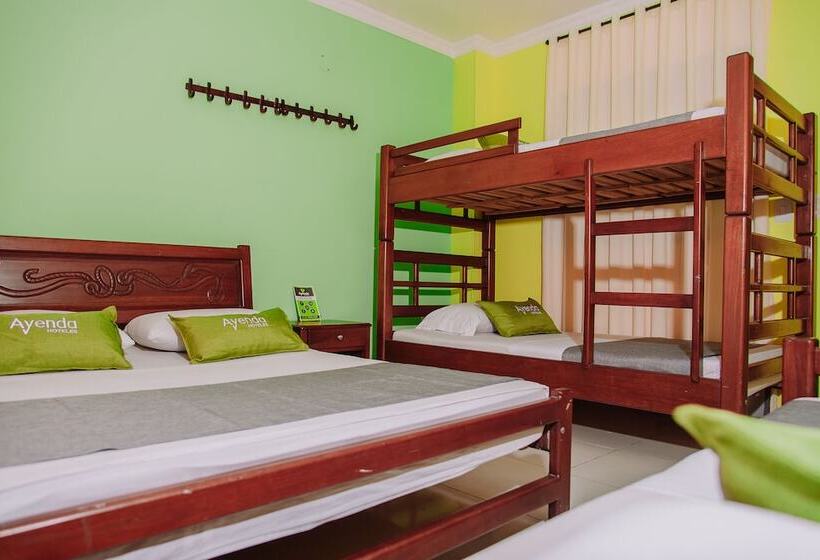חדר סטנדרט לארבעה, Ayenda 1615 Hotel Tayrona Mágico