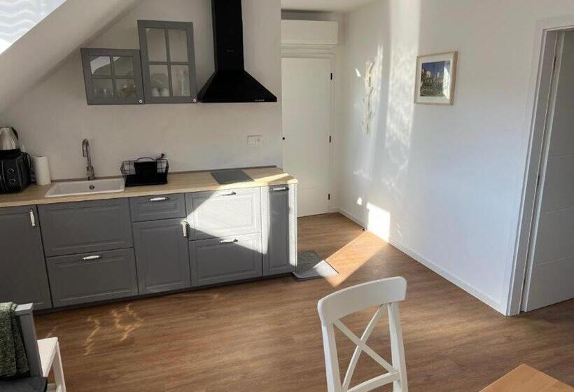 带1个卧室的公寓, Pension Mikulov