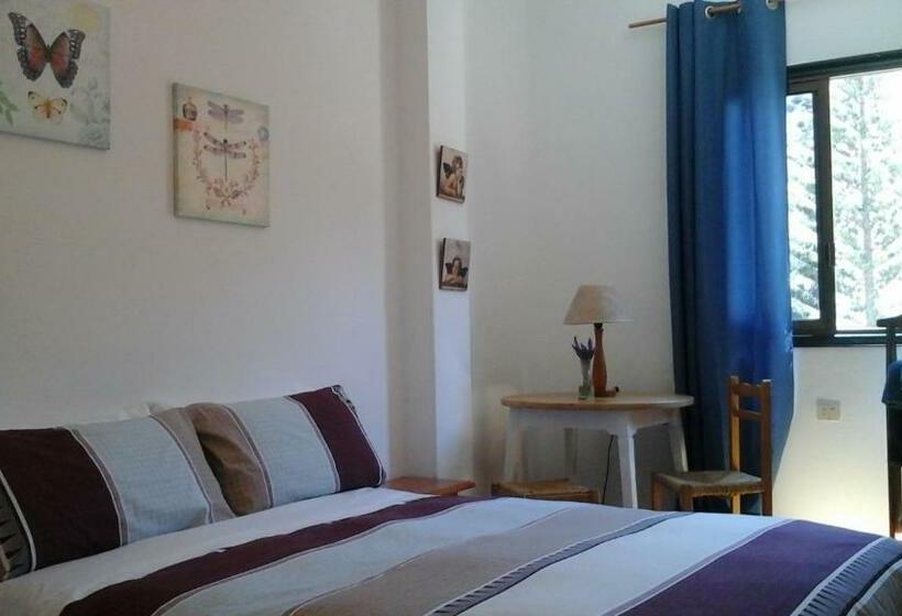 Номер Стандарт, Hostal Casa Amaya
