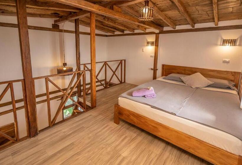 Family Suite, Ganso & Búho