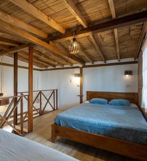 Family Suite, Ganso & Búho