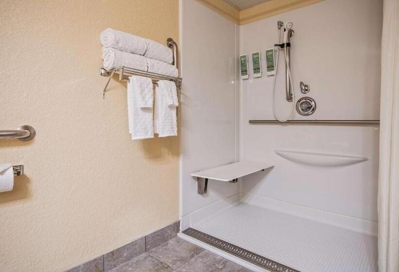 Номер Стандарт Кровать Кинг Адаптированный для Инвалидов, Best Western Center Pointe Inn