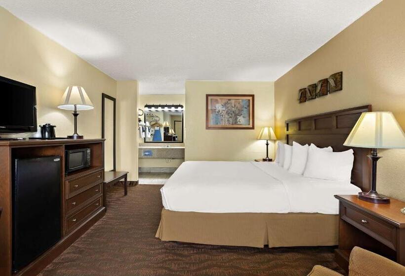 Номер Стандарт Кровать Кинг Адаптированный для Инвалидов, Best Western Center Pointe Inn