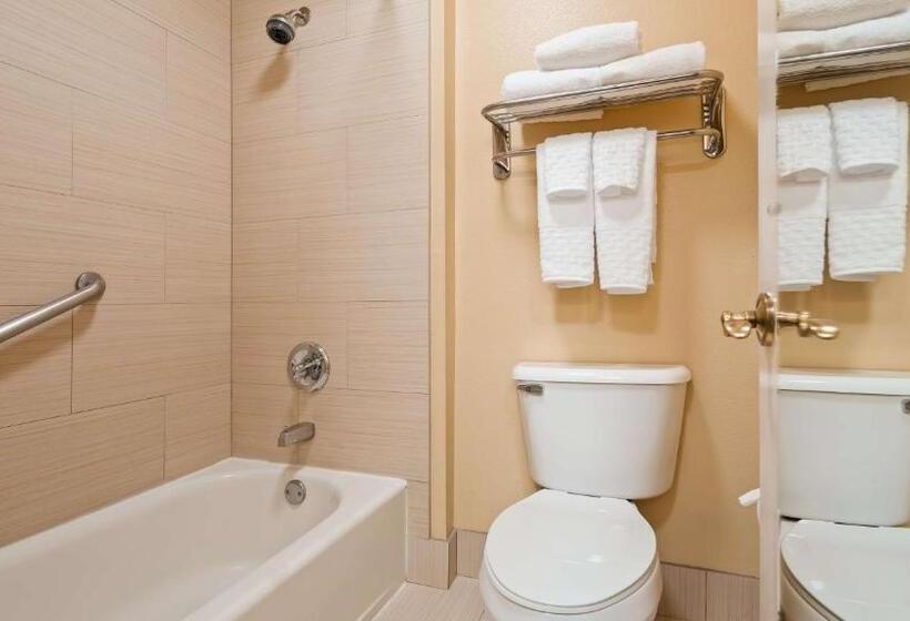 Номер Deluxe, Best Western Plus Bessemer