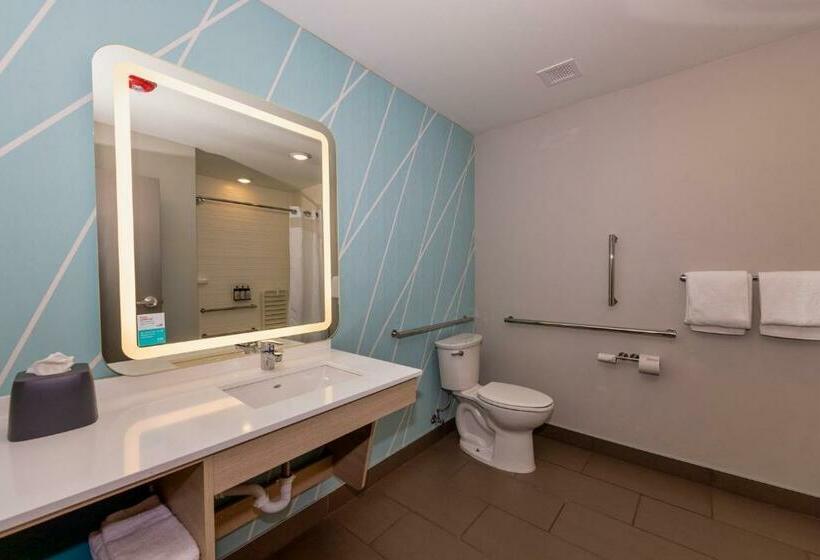 标准间, Avid Hotels   Denver Airport Area, An Ihg