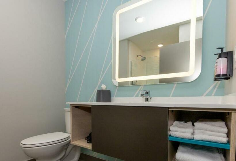 标准间, Avid Hotels   Denver Airport Area, An Ihg