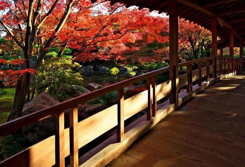 이코노미 룸, 月のあかり
