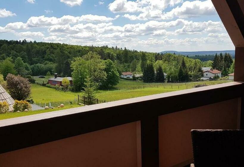 带阳台的豪华间, Harz Pension