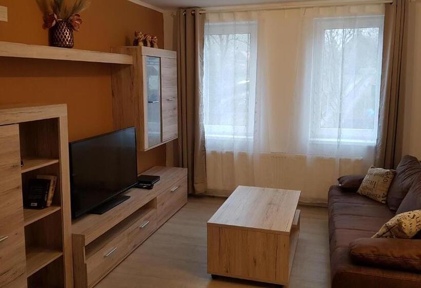 带1个卧室的公寓, Harz Pension