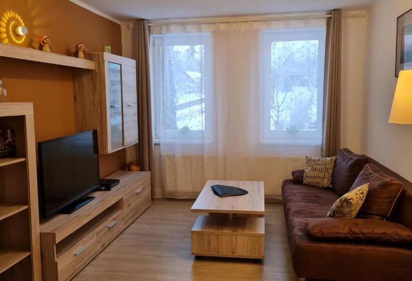 带1个卧室的公寓, Harz Pension