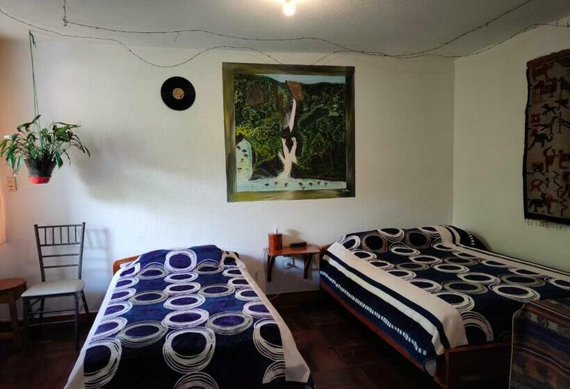 스탠다드 룸, Hostal Chimenea