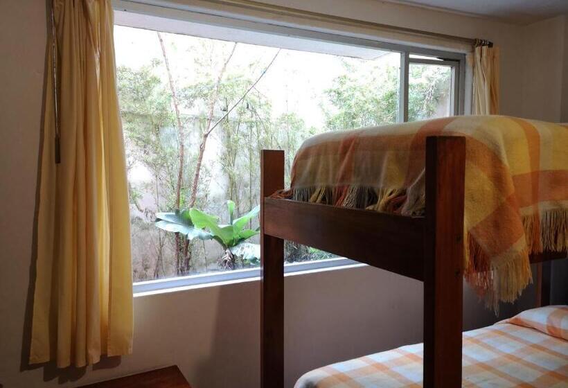 공동 객실, Hostal Chimenea
