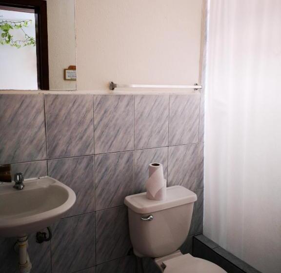 스탠다드 룸, Hostal Chimenea