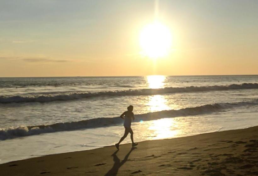 Студия Стандарт, Surf Inn Hermosa