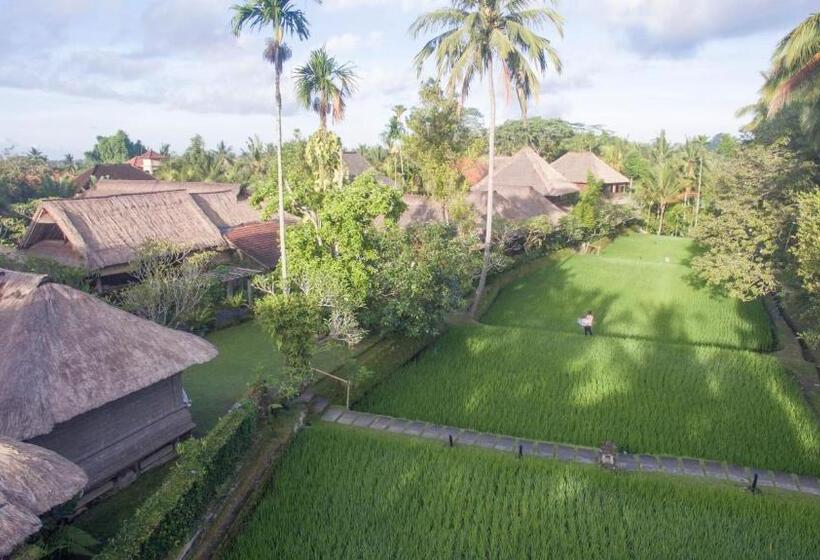Номер Deluxe с Видом, Ananda Ubud Resort