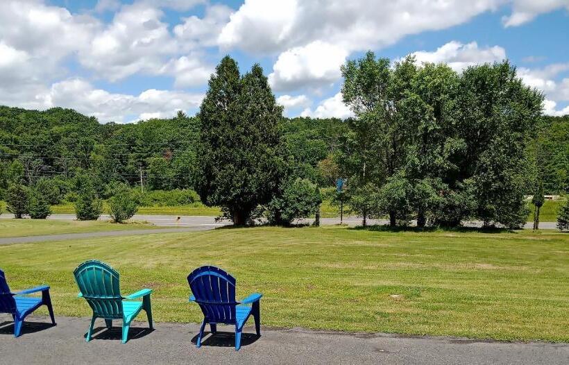 Люкс Повышенной Комфортности, Elm Tree Motel