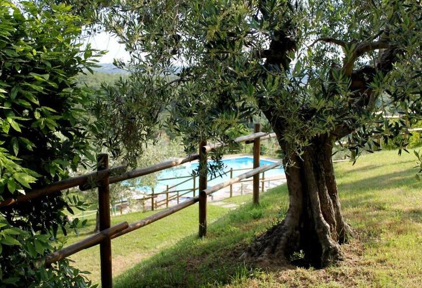 Апартаменты 1 Спальня с Террасой, Agriturismo Malagronda