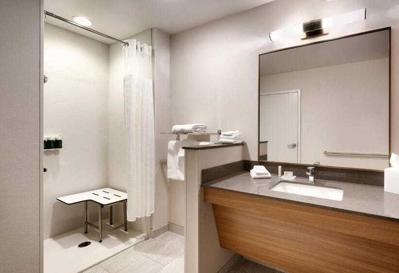 Номер Стандарт, Fairfield Inn & Suites By Marriott Virgin Zion National Park