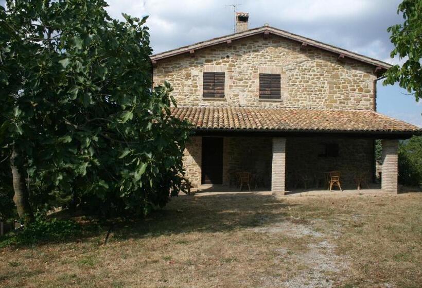 Апартаменты 1 Спальня, Agriturismo Colle Del Sole
