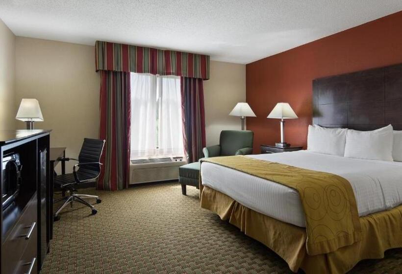 身障者適用キングサイズベッドルーム, Best Western Executive Inn   Latta