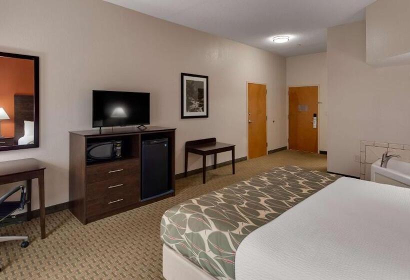 身障者適用キングサイズベッドルーム, Best Western Executive Inn   Latta