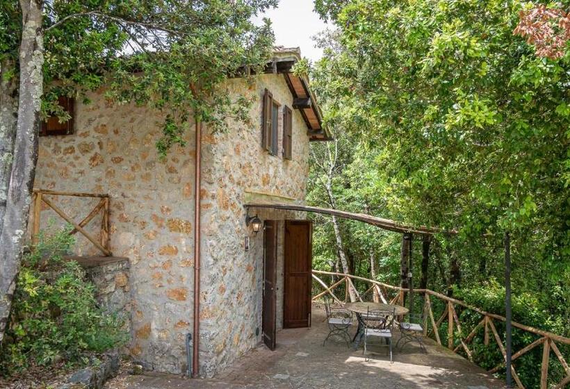 Дом 1 Спальня, Poggio Al Palio