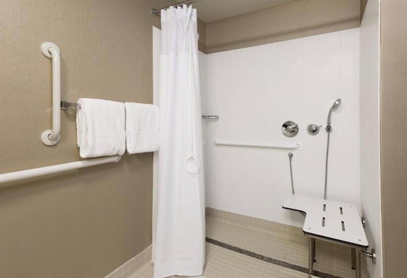 带大床的标准工作室, Springhill Suites Louisville Hurstbourne/north