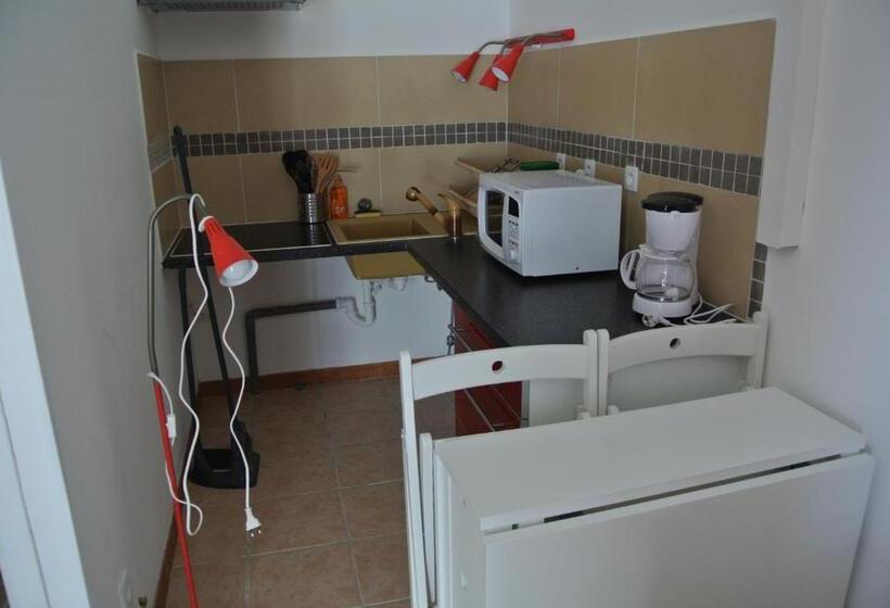 Студия Стандарт, Hôtel Les Mimosas