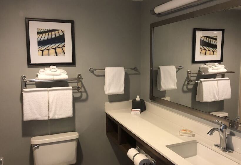Люкс, Holiday Inn   St Augustine   World Golf, An Ihg