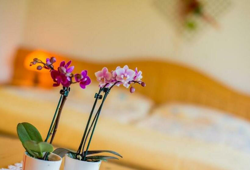 标准间, Alpenhotel Zur Wildi Lauchernalp