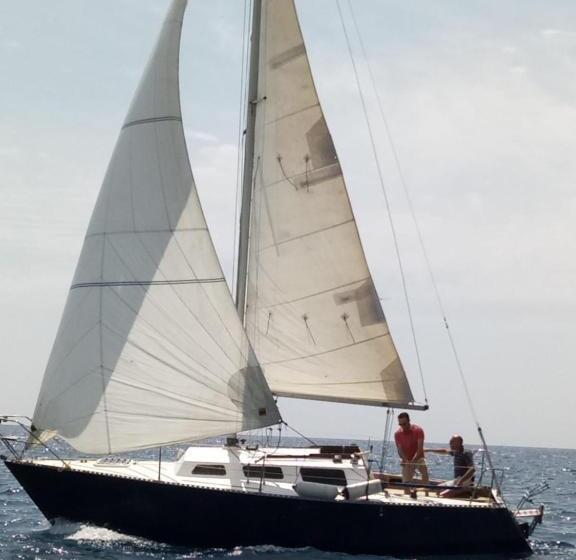 Номер Basic, Brezza Marina