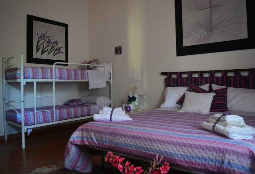 Номер Стандарт, B&b Antico Frantoio