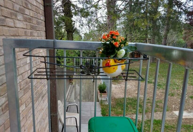 اتاق استاندارد, B&b Il Torchiourbino