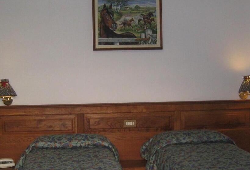 Номер Стандарт, Villa Plinia