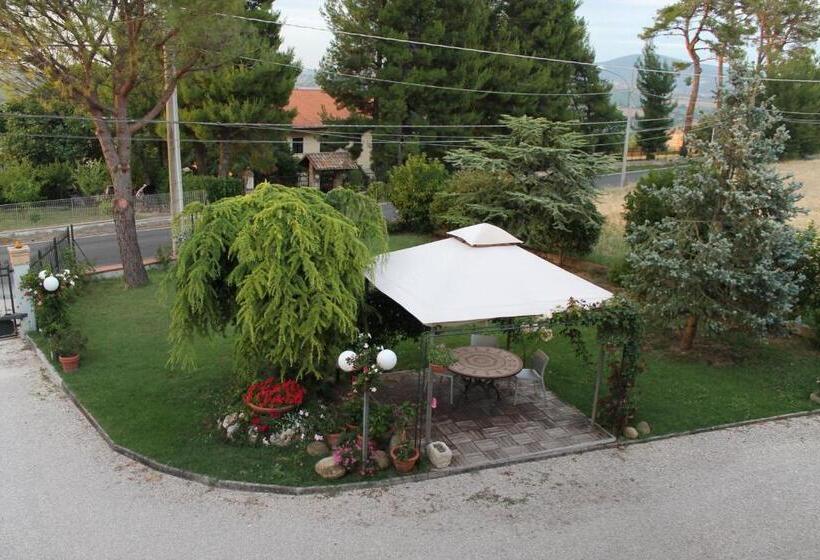 Номер Стандарт, Abbadia 14