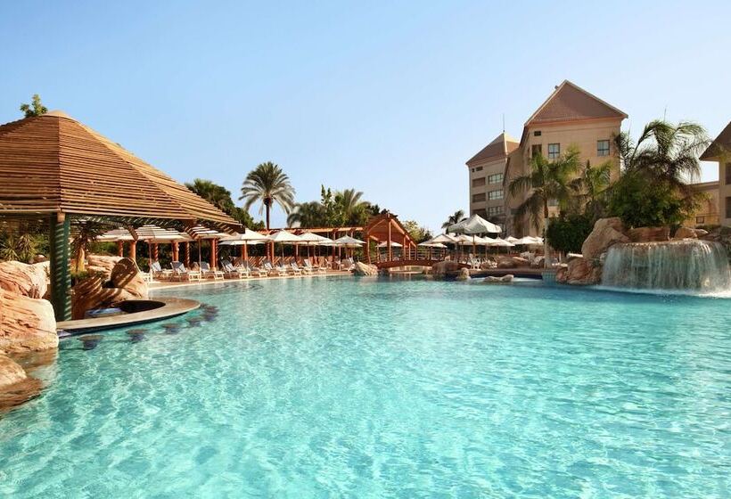 غرفة قياسية, Hilton Pyramids Golf