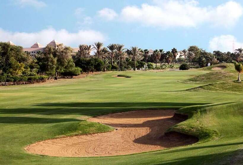 غرفة تنفيذية, Hilton Pyramids Golf