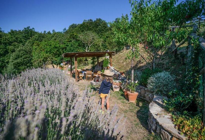 デラックスルーム, Agriturismo La Colombella