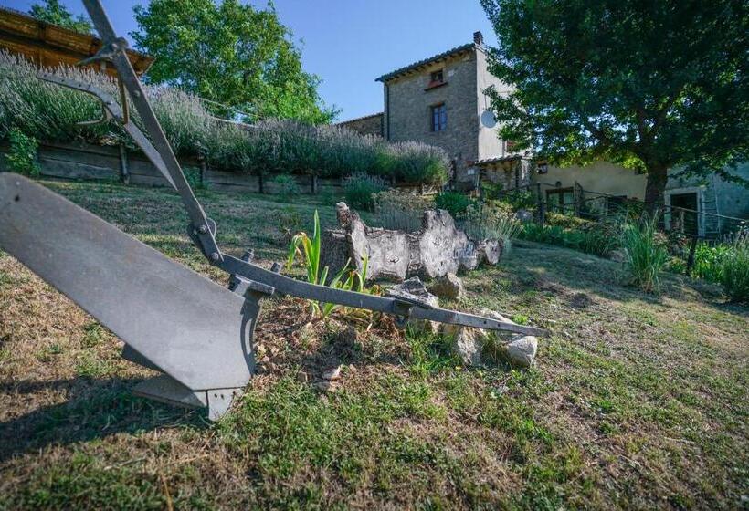 スタンダードルーム, Agriturismo La Colombella