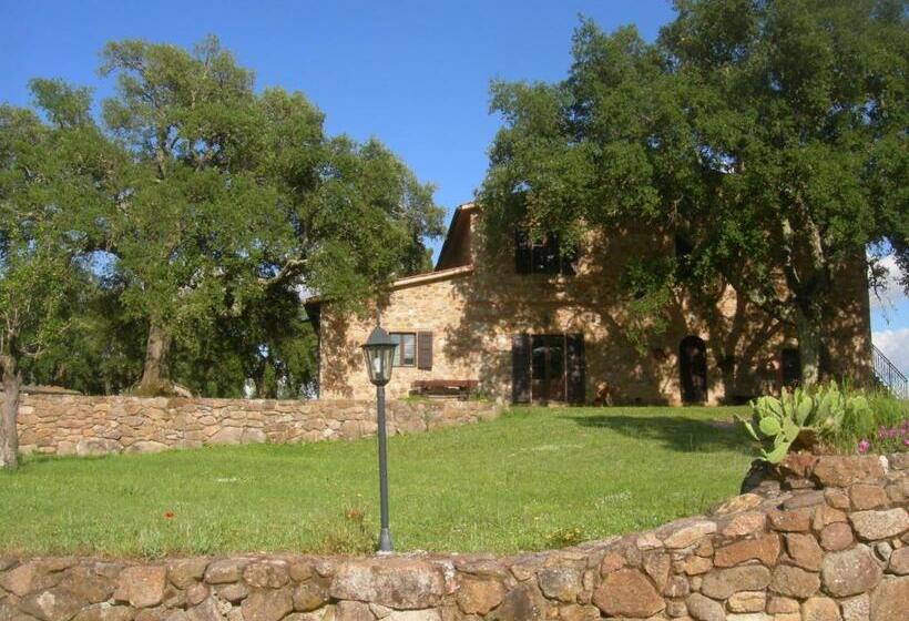 Апартаменты 1 Спальня с Видом, Agriturismo Poggio Macinaio