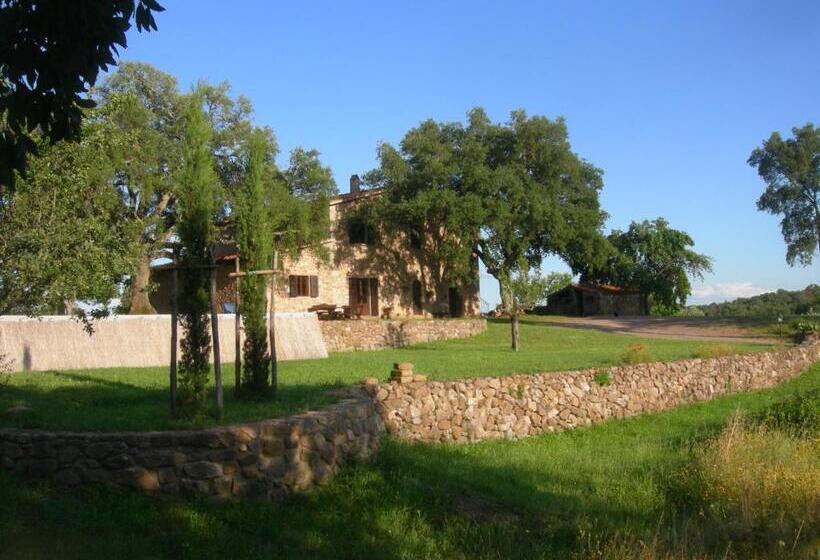 Апартаменты 1 Спальня с Видом, Agriturismo Poggio Macinaio
