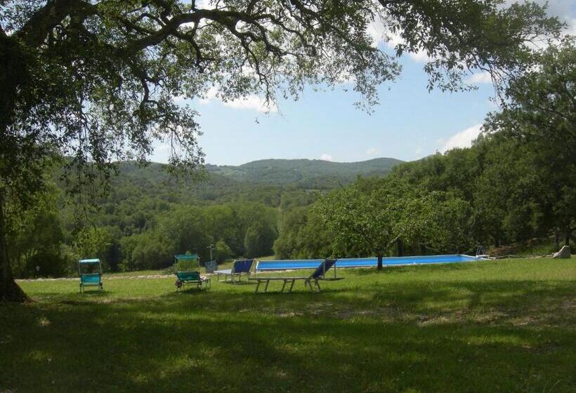 Апартаменты 1 Спальня с Видом, Agriturismo Poggio Macinaio