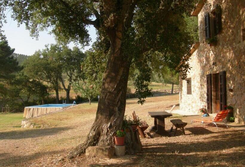Апартаменты 2 Спальни, Agriturismo Poggio Macinaio