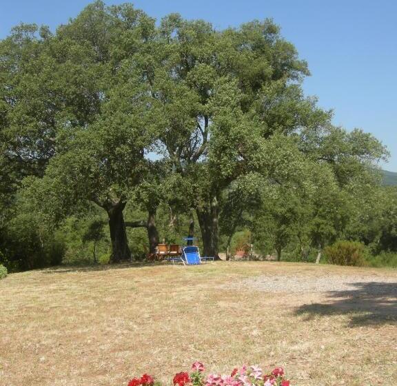 Апартаменты 1 Спальня Вид на Бассейн, Agriturismo Poggio Macinaio
