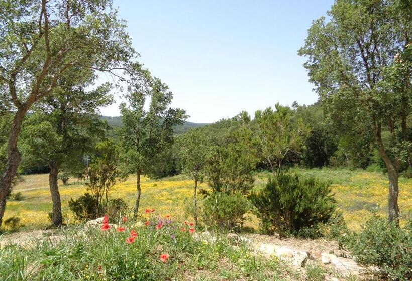 Апартаменты 2 Спальни, Agriturismo Poggio Macinaio