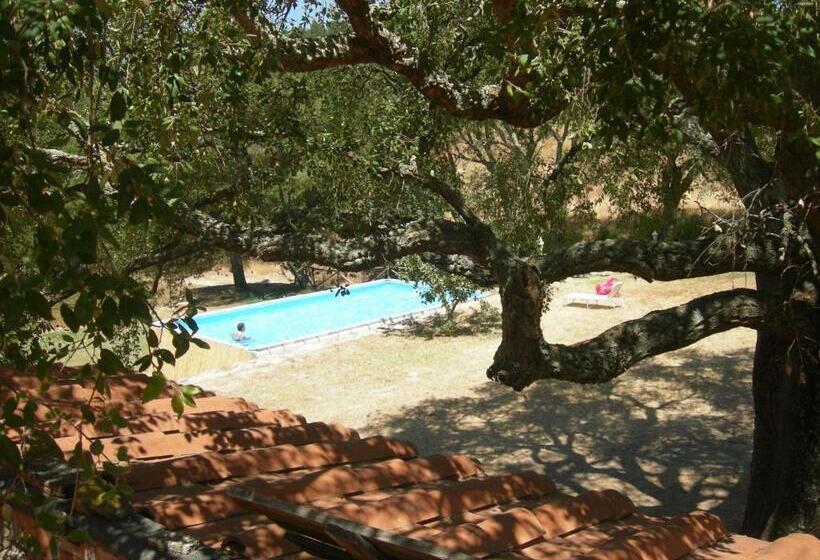Апартаменты 1 Спальня Вид на Бассейн, Agriturismo Poggio Macinaio